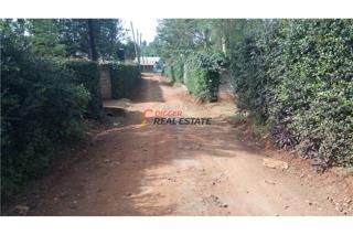 Prime 1/4 Acre For Sale-ngong Ololua