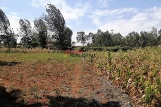 Land For Sale In Ngong Kibiko Wasafi Area