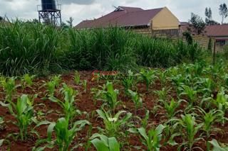 Land For Sale In Ngong